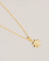 {{ product.type }} - Ted Baker London - Kosovo - CELSTIA